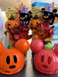 ハロウィンの飾りつけ　始めました